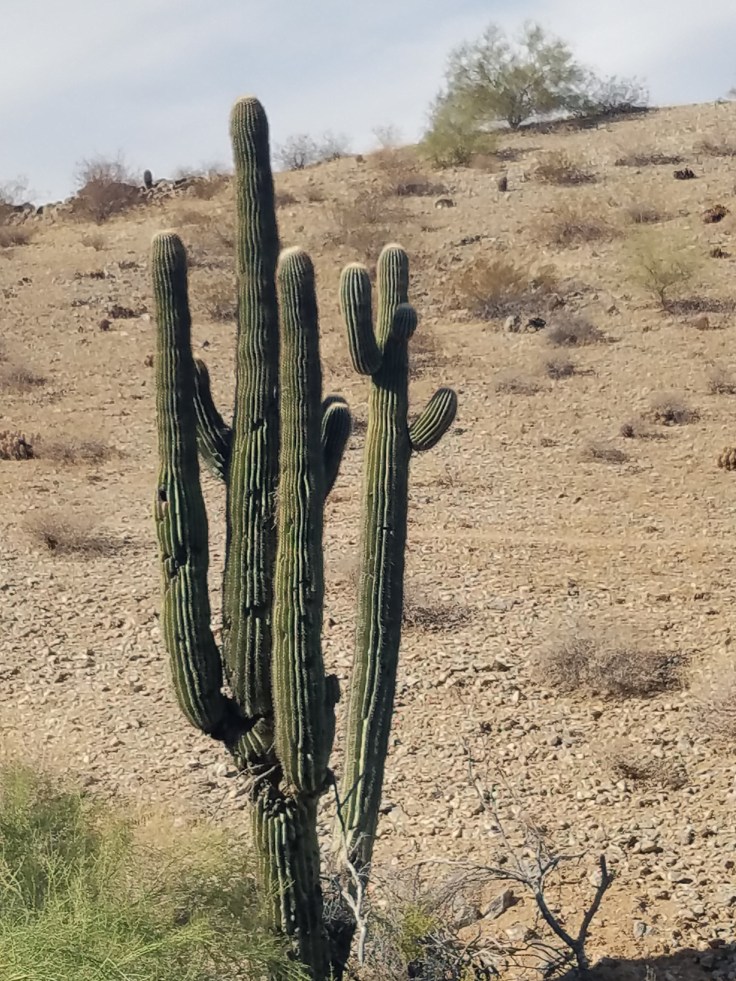 1510521073569-917031634